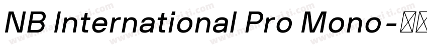 NB International Pro Mono字体转换